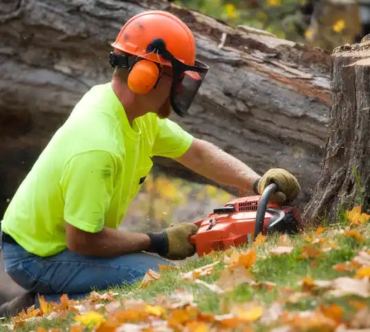 tree services Gallipolis